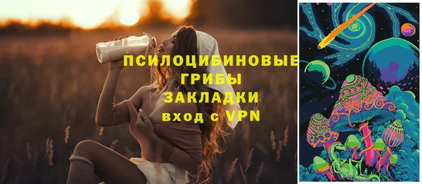 таблы Осинники