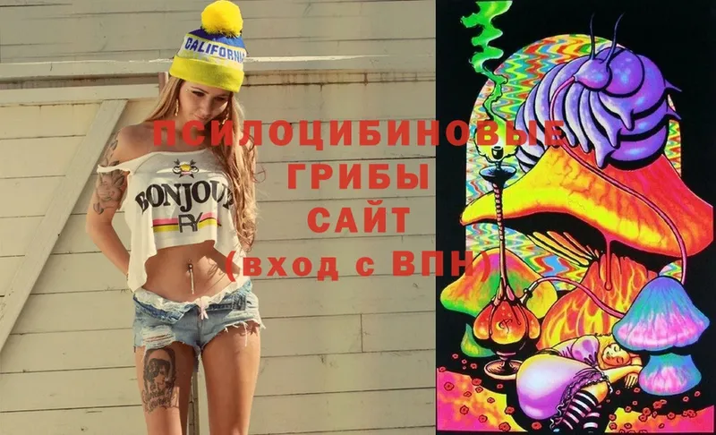 MEGA ссылка  Киселёвск  Галлюциногенные грибы Cubensis 