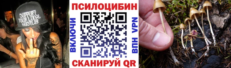 Псилоцибиновые грибы прущие грибы Киселёвск